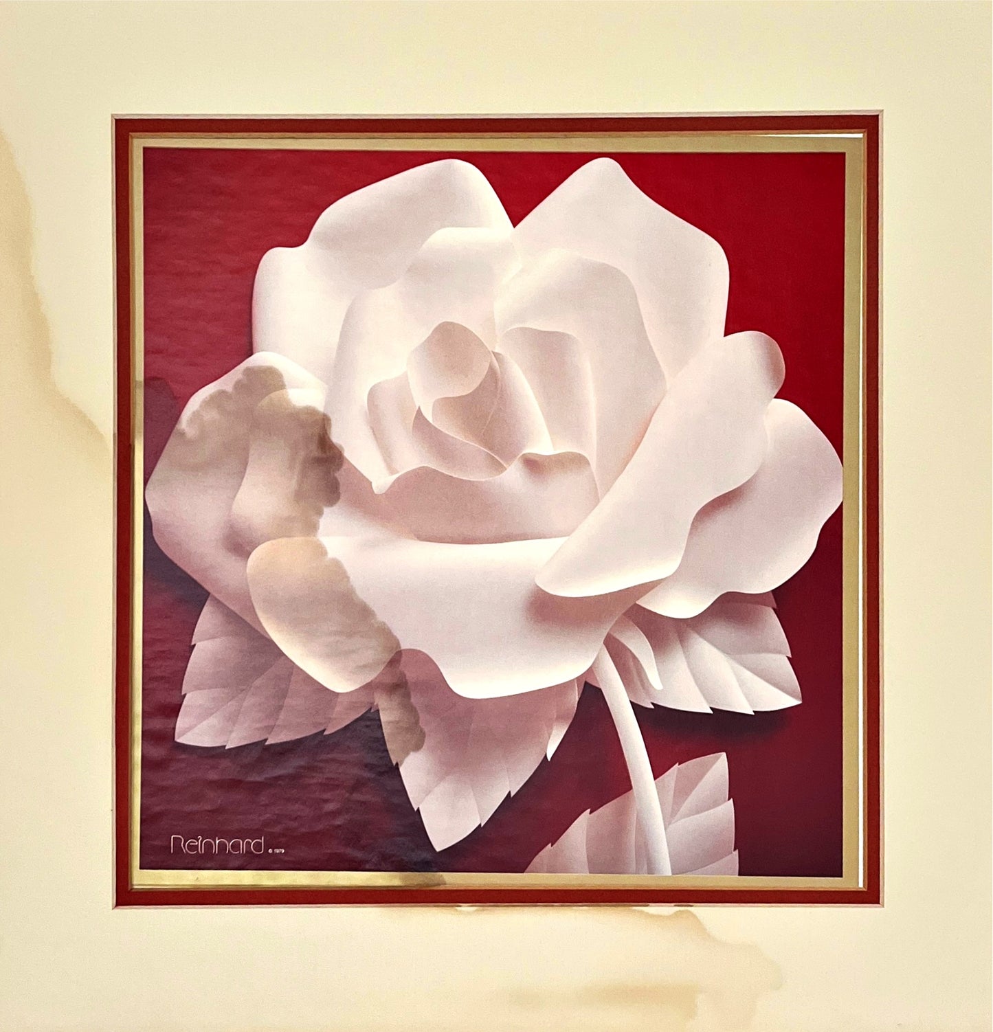 Paper Rose Rehab